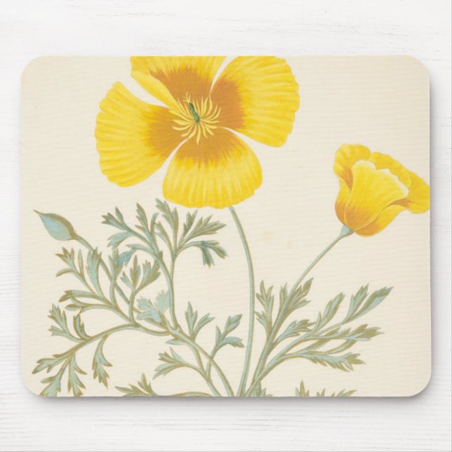 Mousepad Eschscholtzia californiano (Frente)
