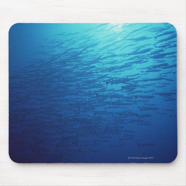 Mousepad Escola de Peixes 12 (Frente)