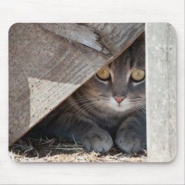 Mousepad esconde-a-gatinho