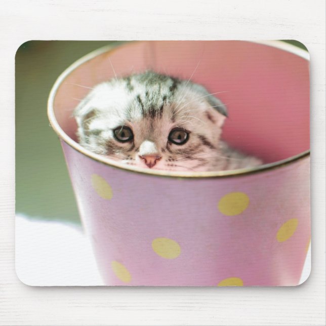 Mousepad Esconder do gatinho (Frente)