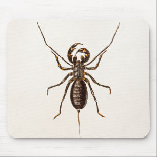 Mousepad Escorpião vermelho do modelo do escorpião do pre