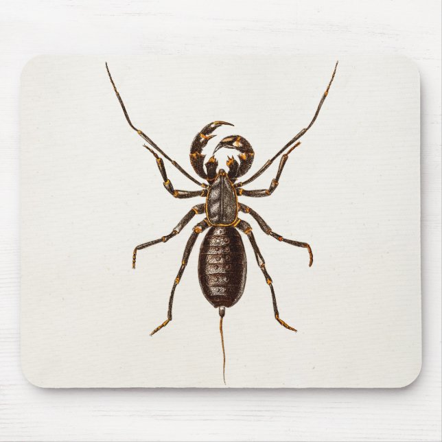 Mousepad Escorpião vermelho do modelo do escorpião do preto (Frente)