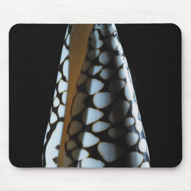 Mousepad Escudo 2 do cone (Frente)