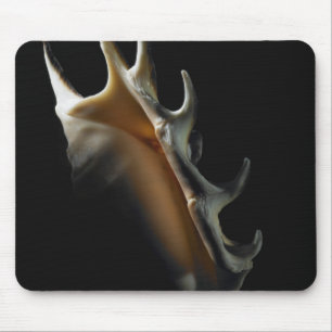 Mousepad Escudo do Conch