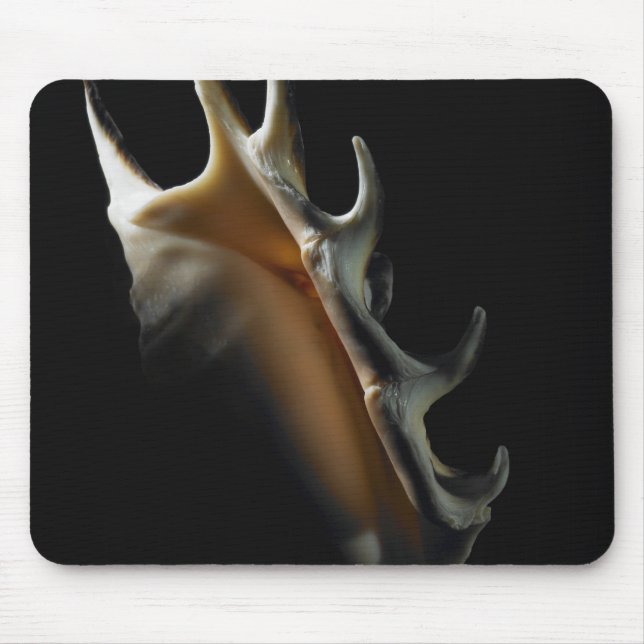 Mousepad Escudo do Conch (Frente)