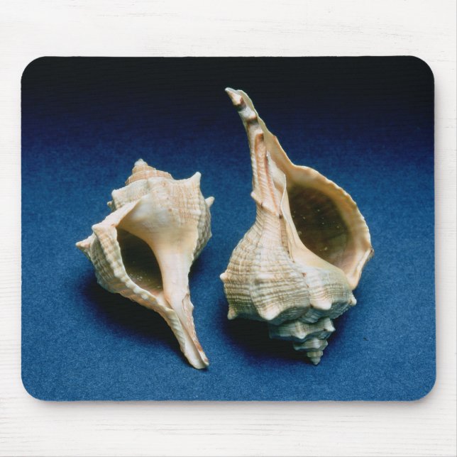 Mousepad Escudo do Murex (Frente)