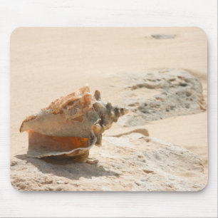 Mousepad Escudos do mar na praia