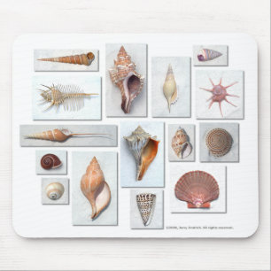 Mousepad Escudos no branco