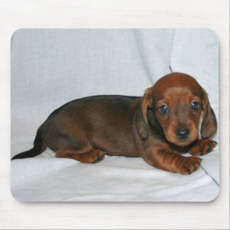 Mousepad Escuro - filhote de cachorro vermelho do Dachshund