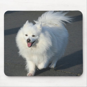Mousepad Eskimo americano