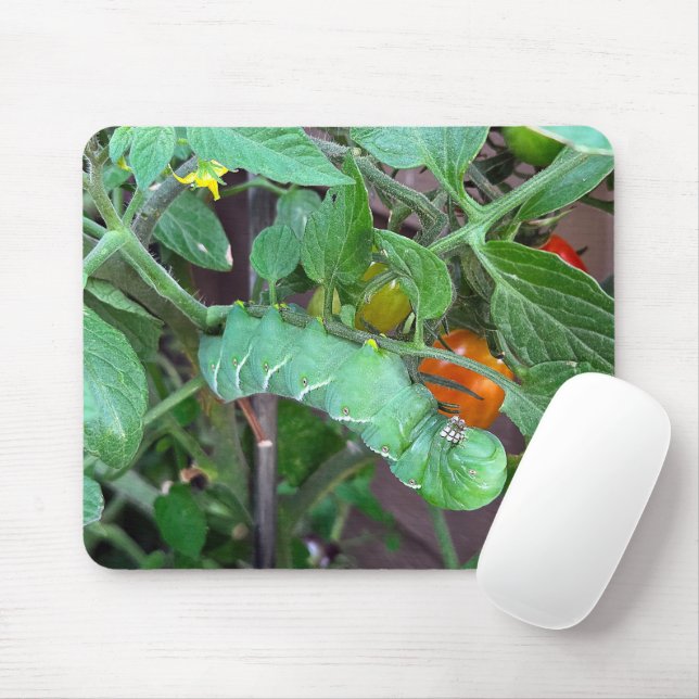 Mousepad Espadim Verde numa Planta de Tomate (Com mouse)