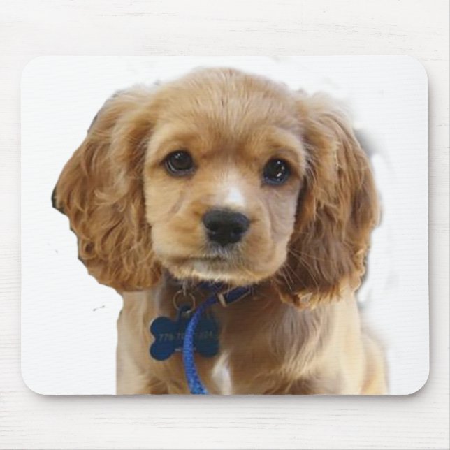 Mousepad Espanhol do Cocker (Frente)