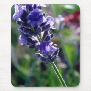 Mousepad Espiga de Flor Roxa