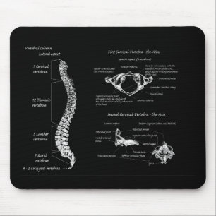Mousepad Espinha