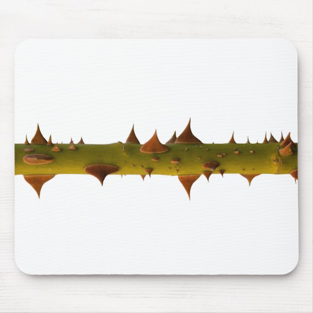 Mousepad Espinhos de rosa (Frente)