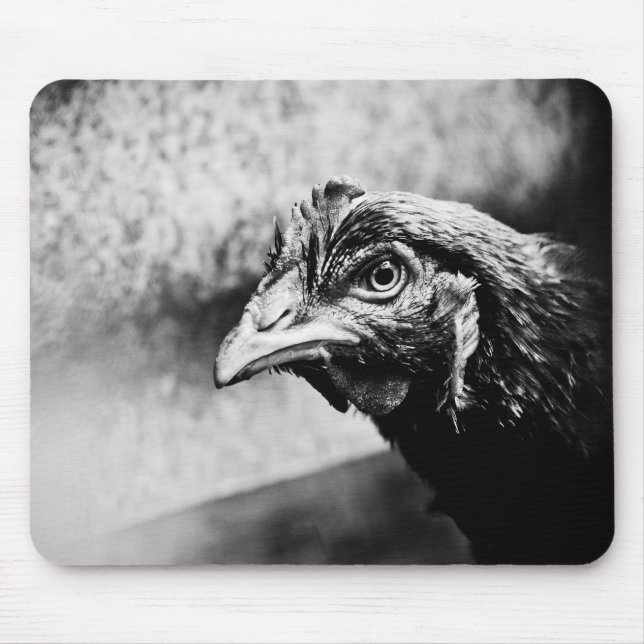 Mousepad espíritos e galinhas (Frente)