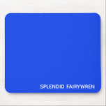 Mousepad Esplêndido Nome de Cor Azul Fairywren<br><div class="desc">O esplêndido Fairywren é um pequeno pássaro australiano com plumagem azul brilhante.</div>