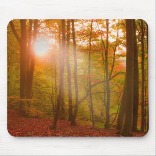 Mousepad Esplendor do outono