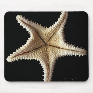 Mousepad Esqueleto da estrela do mar, fim-acima 2