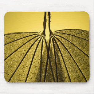 Mousepad Esqueleto da folha