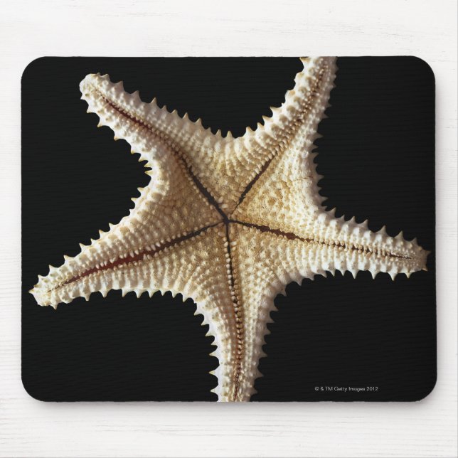 Mousepad Esqueleto de Starfish, close 2 (Frente)