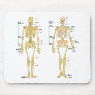 Mousepad Esqueleto humano etiquetado carta da anatomia