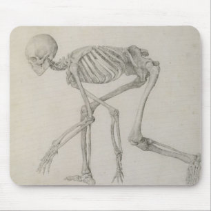 Mousepad Esqueleto humano: Vista lateral na postura de