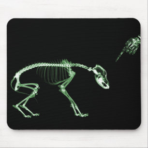 Mousepad Esqueleto mau do raio X do cão no verde