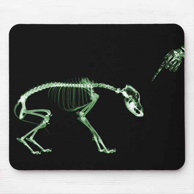 Mousepad Esqueleto mau do raio X do cão no verde (Frente)