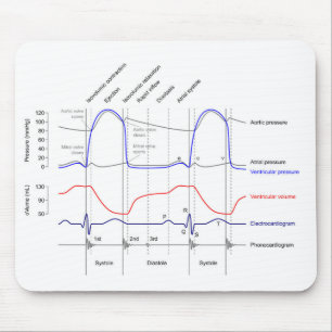 Mousepad Esquemas Diagrama eventos do ciclo cardíaco ventrí