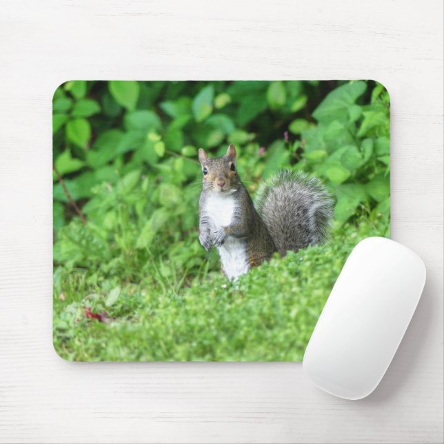 Mousepad Esquilo (Com mouse)