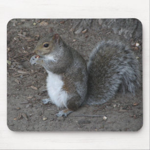 Mousepad Esquilo