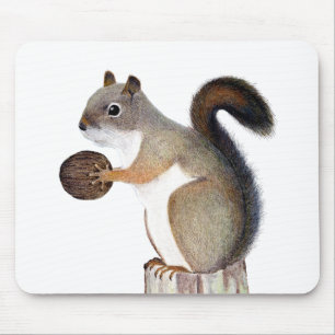 Mousepad Esquilo