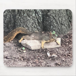 Mousepad Esquilo
