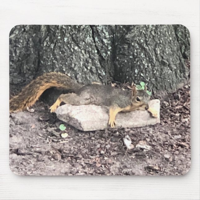 Mousepad Esquilo (Frente)