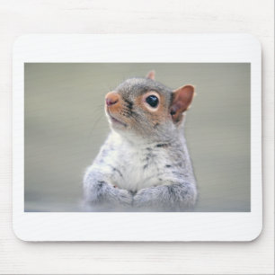 Mousepad Esquilo bonito