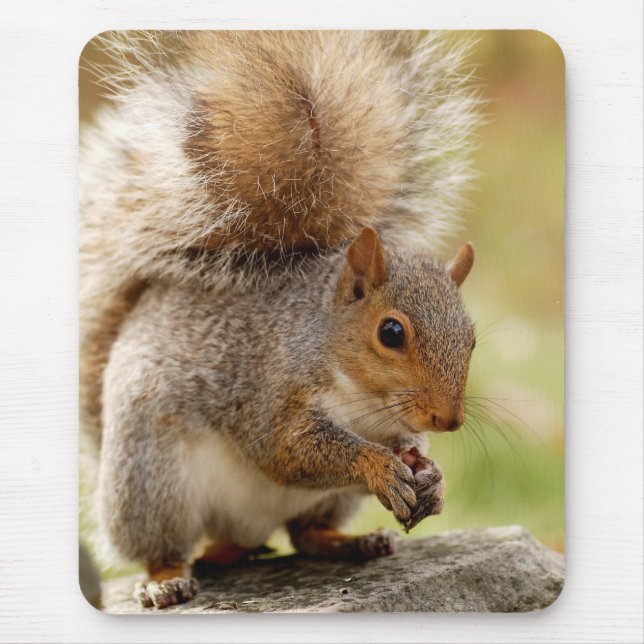 Mousepad Esquilo bonito (Frente)