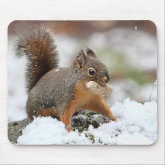 Mousepad Esquilo bonito na neve com amendoim