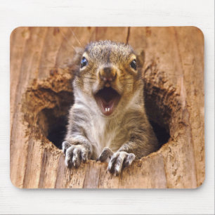 Mousepad Esquilo chocado