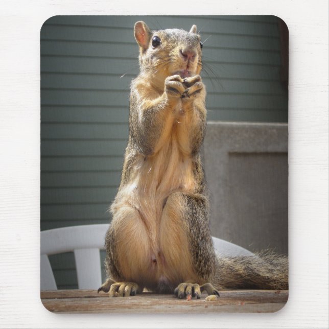 Mousepad Esquilo Cinto Fechado com Nut 3 (Frente)