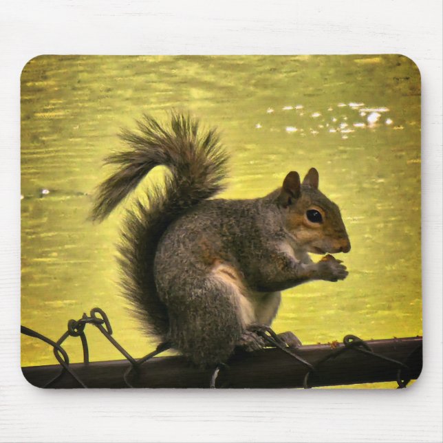Mousepad Esquilo-cinzento-oriental (Sciurus carolinensis)  (Frente)
