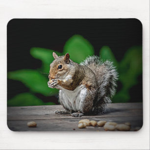 Mousepad Esquilo com amendoim