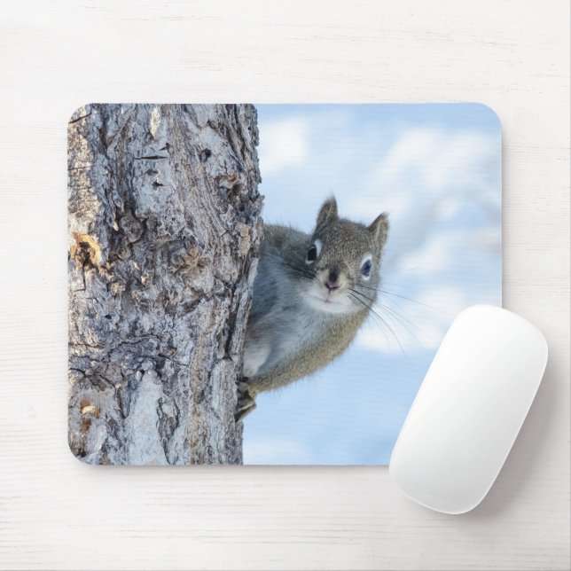 Mousepad Esquilo Curioso, Pico De Uma Árvore (Com mouse)