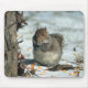 Mousepad Esquilo de inverno (Frente)