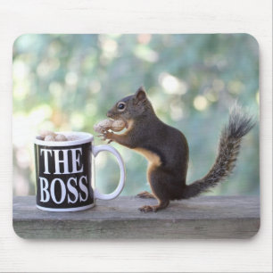 Mousepad "Esquilo do chefe"