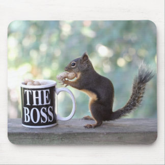 Mousepad "Esquilo do chefe"