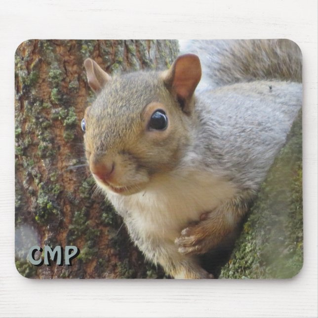 Mousepad Esquilo em Árvore (Frente)