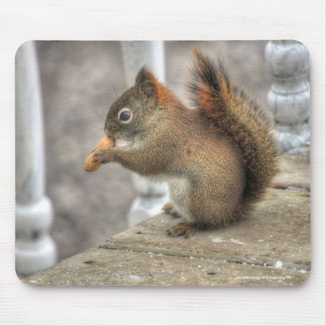 Mousepad Esquilo giro comendo uma foto de vida selvagem de  (Frente)