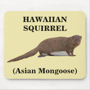 Mousepad Esquilo Havaiano (Mongoose Asiática)