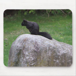 Mousepad Esquilo Negro Bonito em Esquilos Natureza Rock